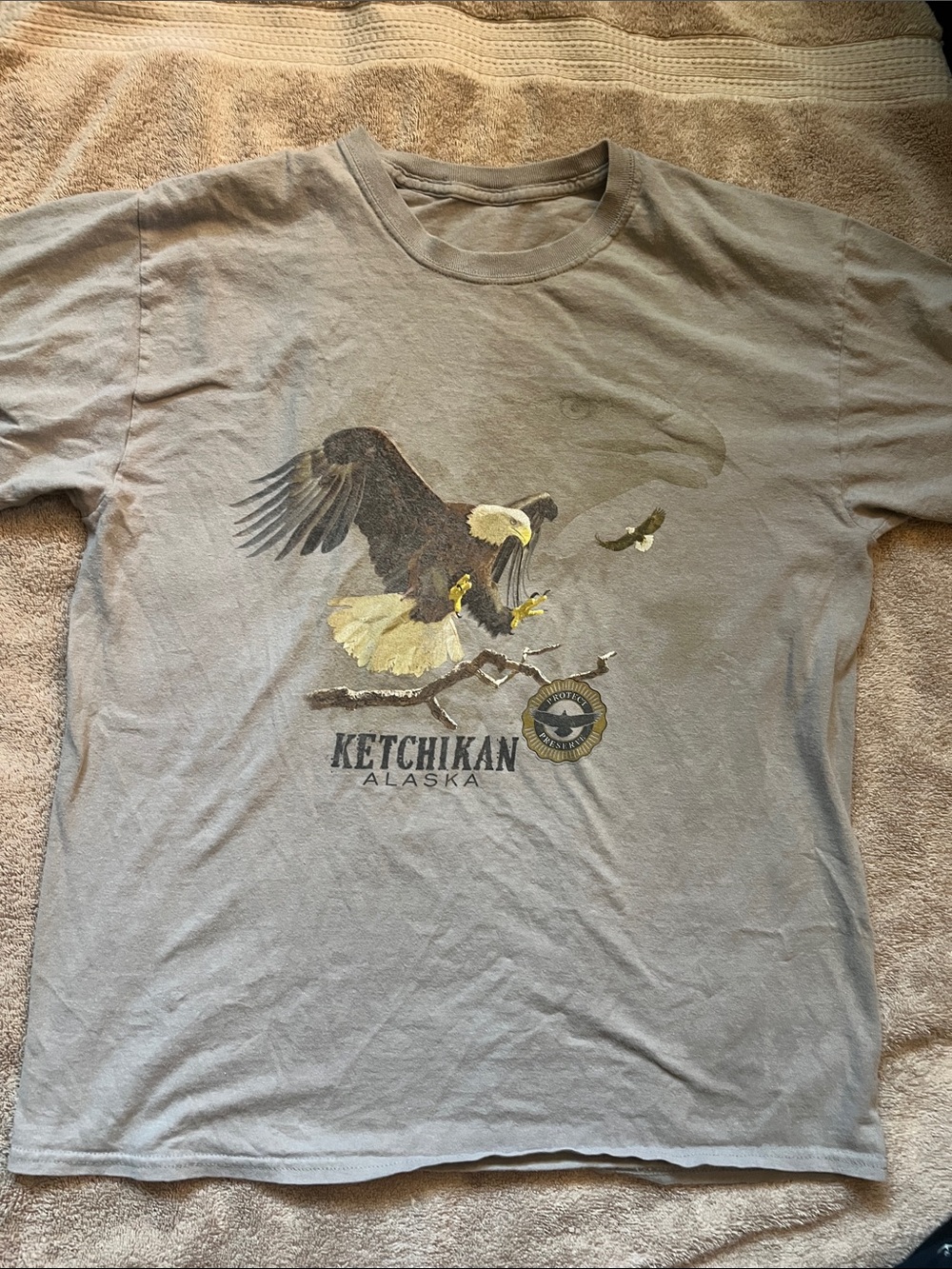 Men's Gray Eagle Graphic T-Shirt